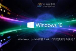 Windows Update在哪?Win10自动更新怎么关闭