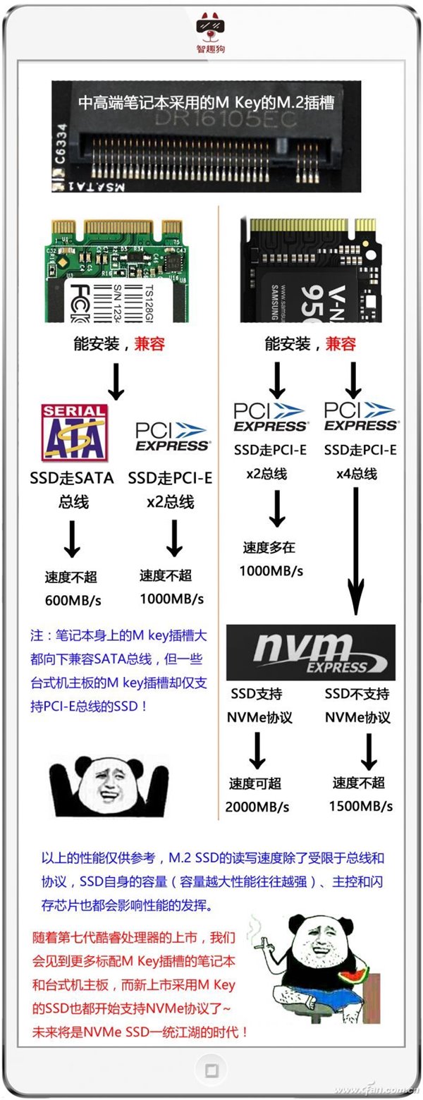 M.2/PCI-E/NVMe/SATA SSD是什么？5张图保你弄明白SSD那些事