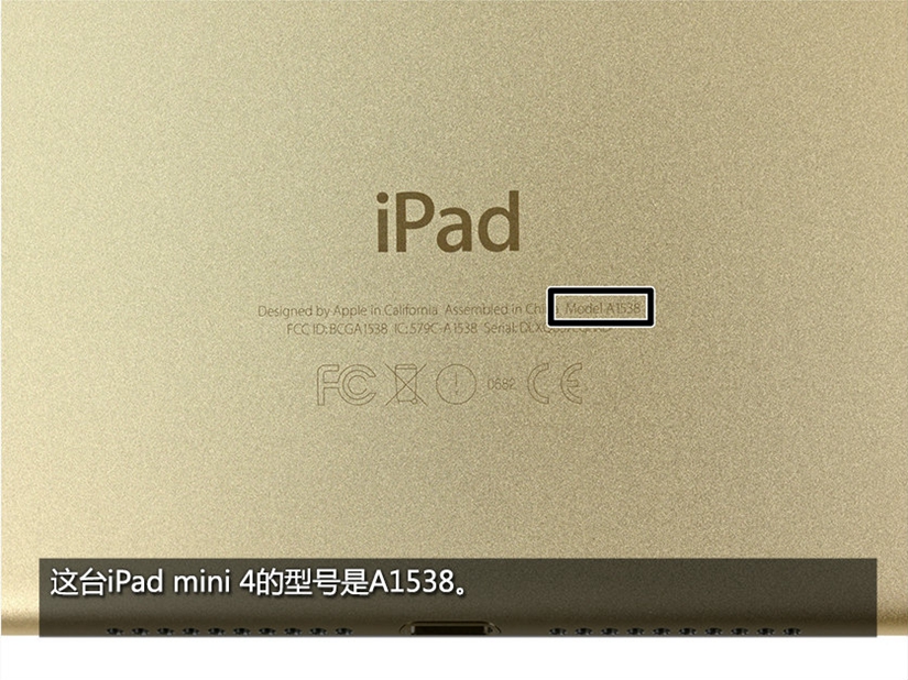 iPad mini 4内部结构如何？iPad mini 4真机拆解图赏_3