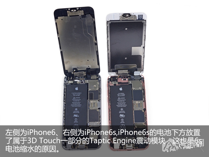 iPhone 6s做工怎么样 iPhone 6s拆机图解图赏_6