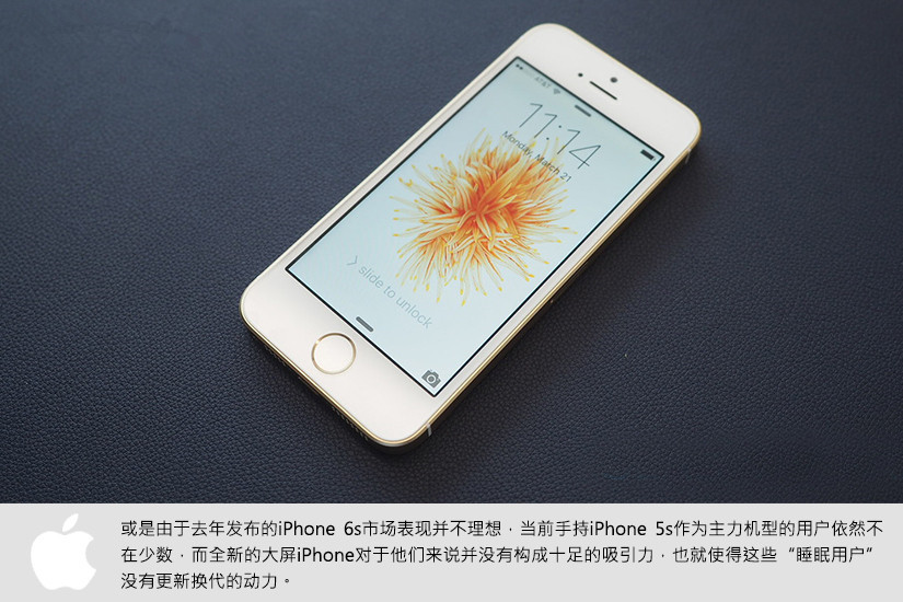 3288元最佳小屏旗舰 iPhone SE真机图赏(3/11)