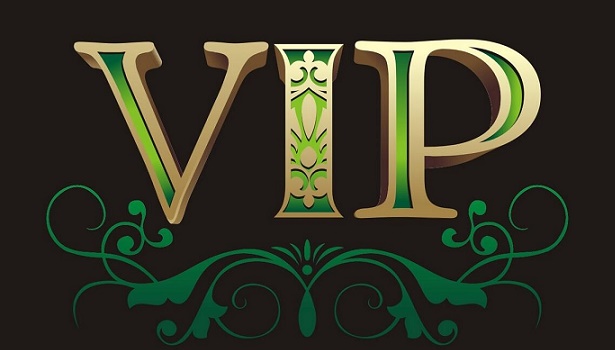 .VIP顶级域名将于5月18日开放注册 要抢疯