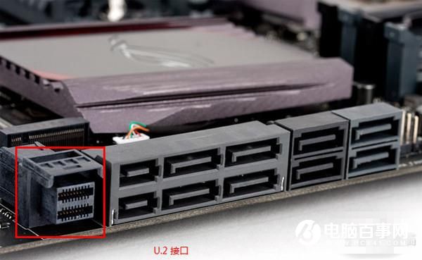 知识科普：U.2 SSD到底是什么鬼？