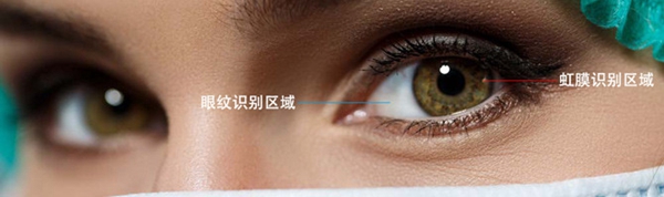 虹膜识别与眼纹识别有什么不同 虹膜识别与眼纹识别区别对比