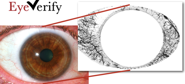虹膜识别与眼纹识别有什么不同 虹膜识别与眼纹识别区别对比