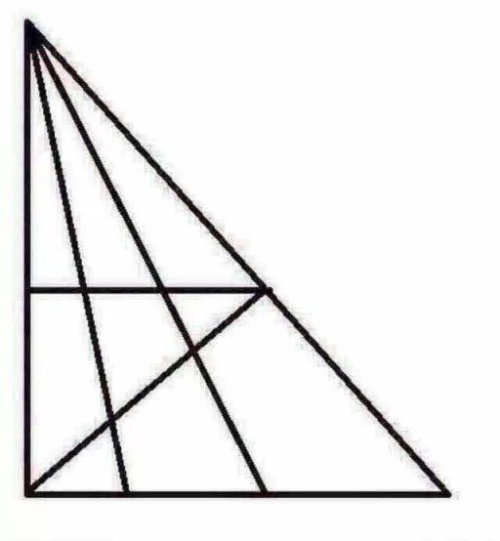 网友为小学数学竞赛题吵翻天：到底有几个三角形？