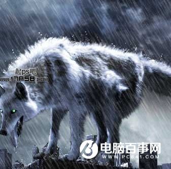 Photoshop合成雨夜中凶猛的恶狼