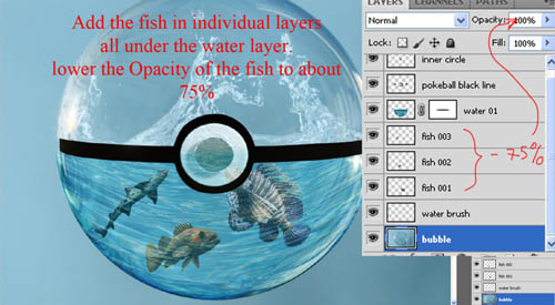 Photoshop合成玻璃球体中的鱼类世界