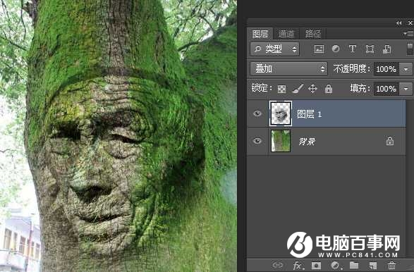 Photoshop快速合成创意的古树头像教程