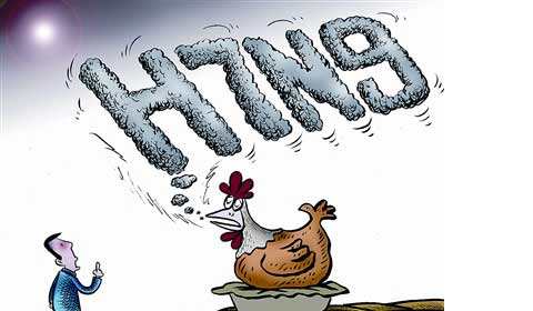 科普：5个问题揭秘H7N9禽流感病毒