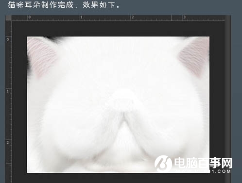 Photoshop绘制非常萌的白猫头教程