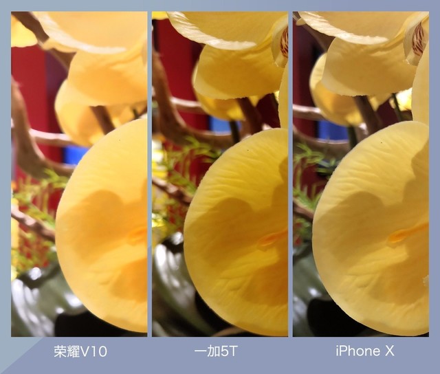荣耀V10、一加5T、iPhone X拍照对比 双摄旗舰样张对比