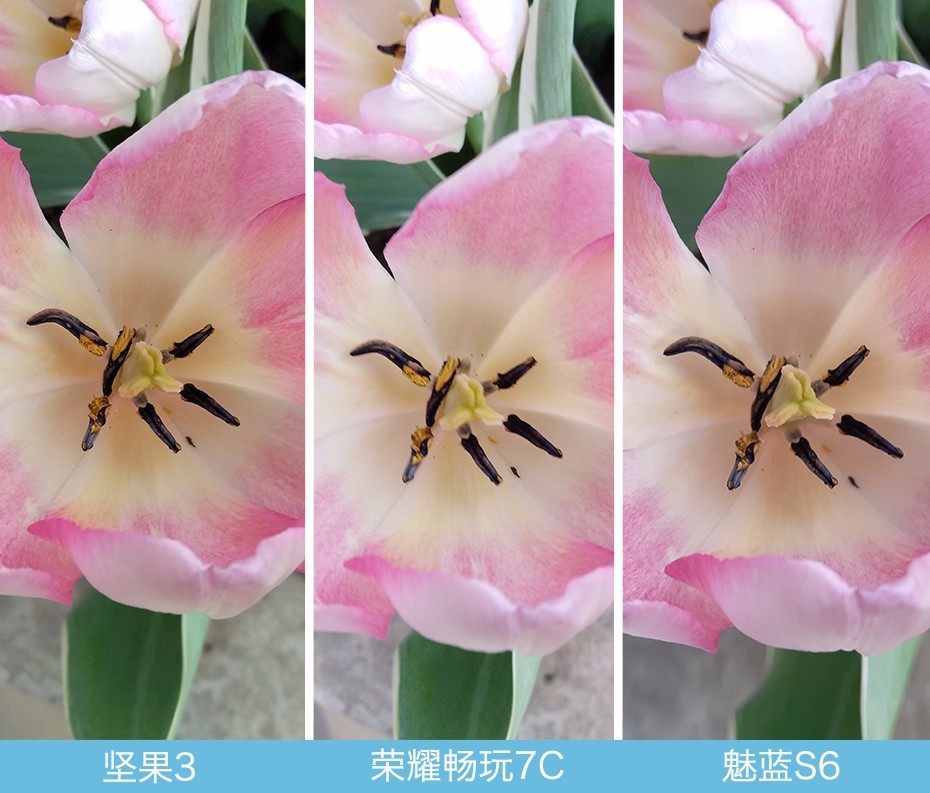 坚果3、荣耀畅玩7C、魅蓝S6拍照样张对比 千元机拍照哪个好?