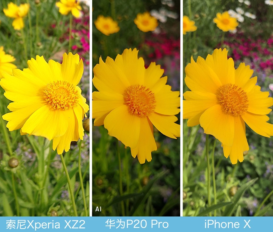 神仙在打架！华为P20 Pro、iPhone X、索尼XZ2拍照对比评测