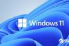 Windows 11更新可解决此问题！Win11系统更新可修复这一大Bug