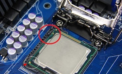 Intel主板的CPU接口针脚都露在外面安装时需小心