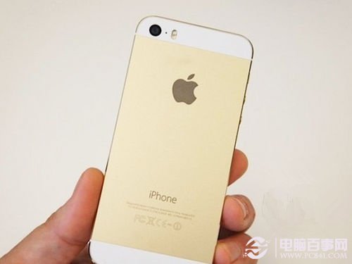 iPhone 5s背面图片