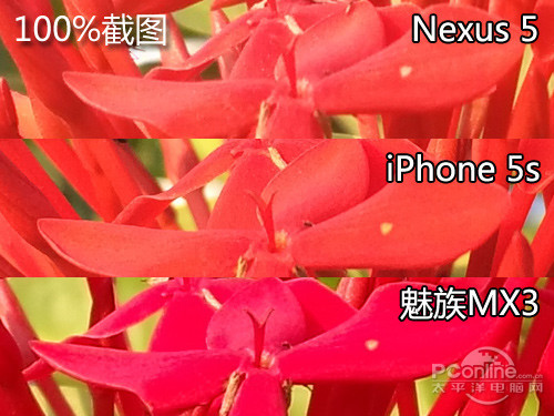 看Nexus 5、iPhone 5S/魅族MX3室外微距拍照样张放大细节对比