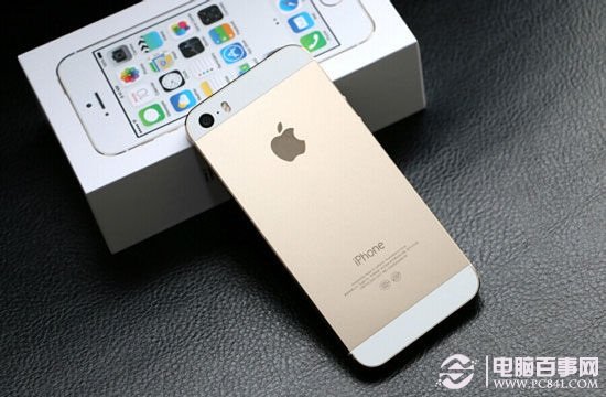 iPhone 5s移动4G版背面外观