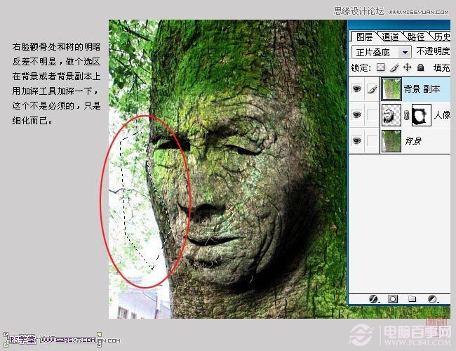Photoshop制作树身人面像教程