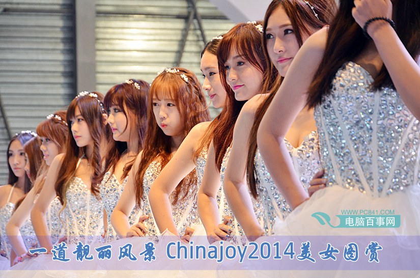 一道靓丽风景 Chinajoy2014美女图赏(1/14)