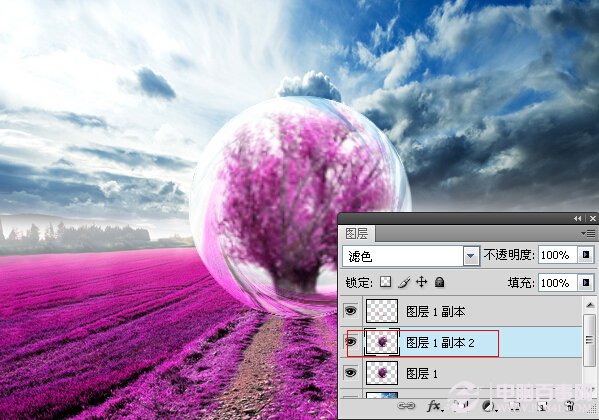 Photoshop打造梦幻薰衣草水晶球效果 电脑百事网