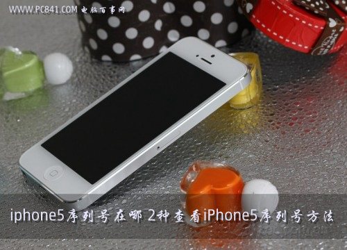 iphone5序列号在哪 2种查看iPhone5序列号方法