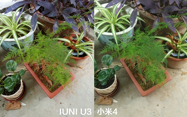IUNI U3与小米4室外拍照样张对比