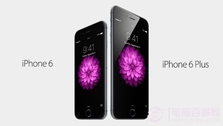 如果你忍不住手痒 不妨看看两款iPhone 6的五大槽点