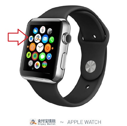 Apple Watch支付宝