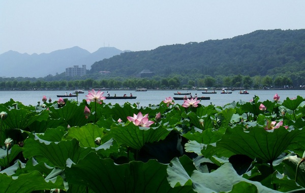 杭州西湖领衔 五一全国景区最堵排行榜